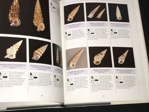 THE ILLUSTRATED ENCYCLOPEDIA OF SHELLS BY KENNETH R. WYE