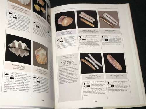 THE ILLUSTRATED ENCYCLOPEDIA OF SHELLS BY KENNETH R. WYE