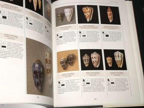 THE ILLUSTRATED ENCYCLOPEDIA OF SHELLS BY KENNETH R. WYE