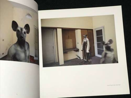 SUMMER 2009/2010 PROJECTS - MICHAEL STEVENSON