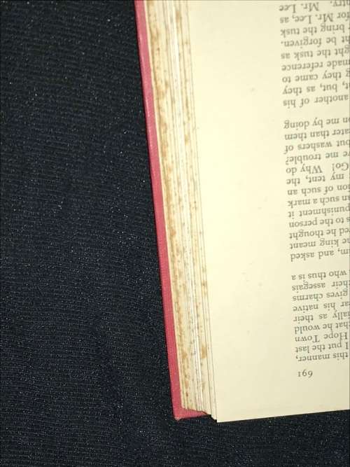 THE NORTHERN GOLDFIELDS DIARIES OF THOMAS BAINES SECOND JOURNEY 1871/72 VOLUME 2 OPPENHEIMER SERIES