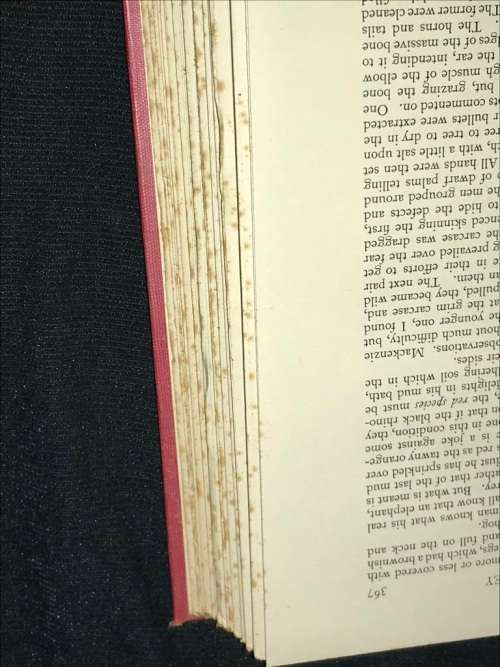 THE NORTHERN GOLDFIELDS DIARIES OF THOMAS BAINES FIRST JOURNEY 1870/71 VOLUME 2 OPPENHEIMER SERIES