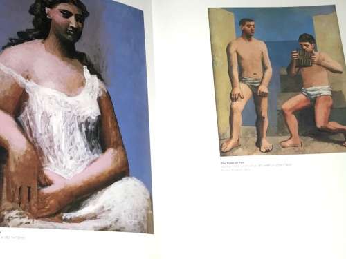 PICASSO BY ROBIN LANGLEY SOMMER