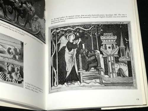DIONYSUS A SOCIAL HISTORY OF THE WINE VINE BY EDWARD HYAMS