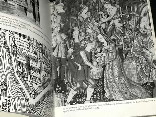 DIONYSUS A SOCIAL HISTORY OF THE WINE VINE BY EDWARD HYAMS