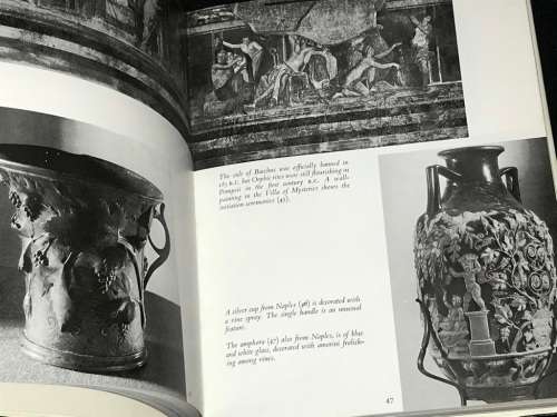 DIONYSUS A SOCIAL HISTORY OF THE WINE VINE BY EDWARD HYAMS