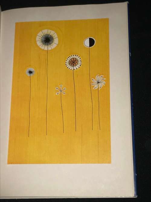 HELLO UP THERE A PHILOSOPHY MIND DRAWINGS BY THELMA CHAIT LIMITED EDITION