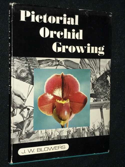PICTORIAL ORCHID GROWING BY J.W. BLOWERS
