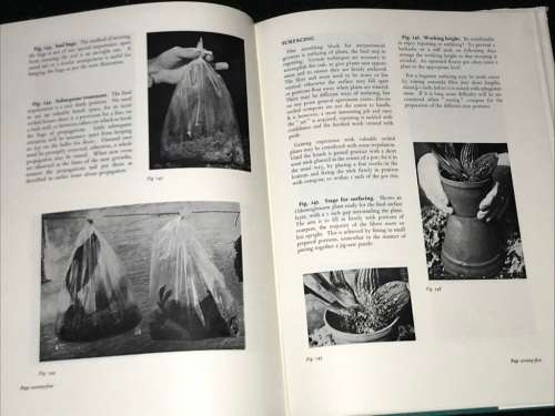 PICTORIAL ORCHID GROWING BY J.W. BLOWERS