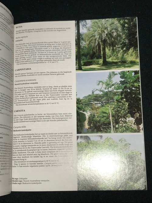 PALMS VIR DIE SUID - AFRIKAANSE HUIS EN TUIN DEUR JENNIFER SIMPSON