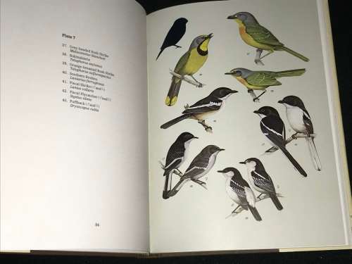 GEOFF LOCKWOOD`S GARDEN BIRDS OF SOUTHERN AFRICA SIGNED AND NUMBERED