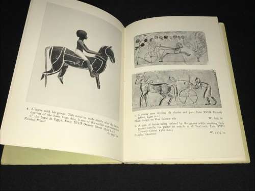 ANCIENT EGYPTIAN ANIMALS A PICTURE BOOK - THE METROPOLITAN MUSEUM OF ART 1942