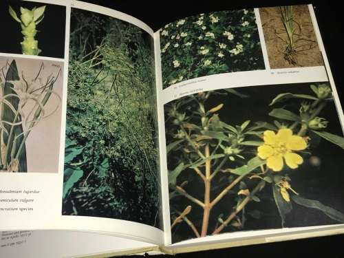 NARCOTIC PLANTS BY WILLIAM EMBODEN