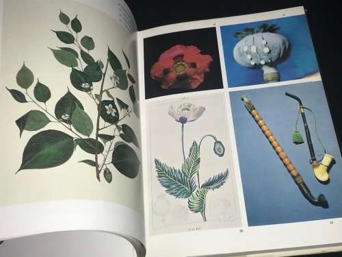 NARCOTIC PLANTS BY WILLIAM EMBODEN