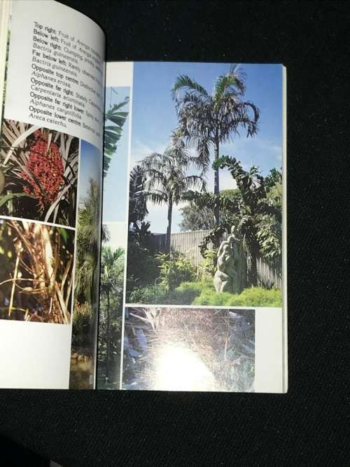 THE PALM COLLECTION OF THE DURBAN BOTANICAL GARDENS BY ANN LAMBERT