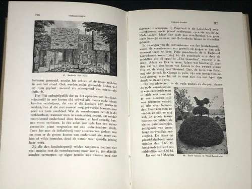 OUD - NEDERLANDSCHE TUINKUNST DOOR JHR. C.H.C.A. VAN SYPESTEYN 1910