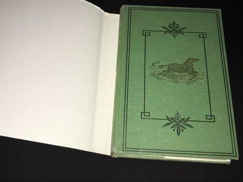 THE GOLD REGIONS OF SOUTH EASTERN AFRICA BY THOMAS BAINES