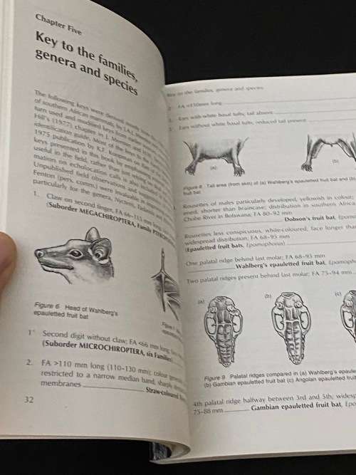 BATS OF SOUTHERN AFRICA BY PETER JOHN TAYLOR