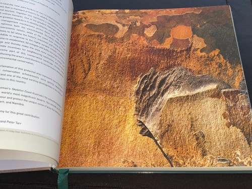 SKELETON COAST BY AMY SCHOEMAN