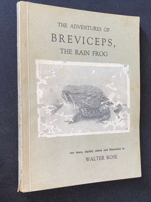 THE ADVENTURES OF BREVICEPS, THE RAIN FROG BY WALTER ROSE