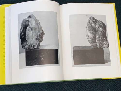 THE NAKED EYE BY DAVID LEWIS