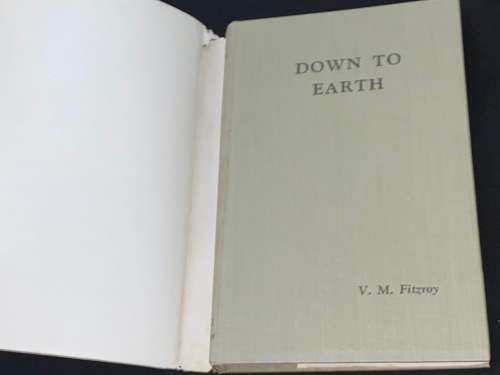 DOWN TO EARTH BY V.M. FITZROY