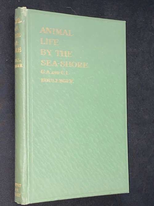 ANIMAL LFE BY THE SEA-SHORE BY G.A. AND C.L. BOULENGER