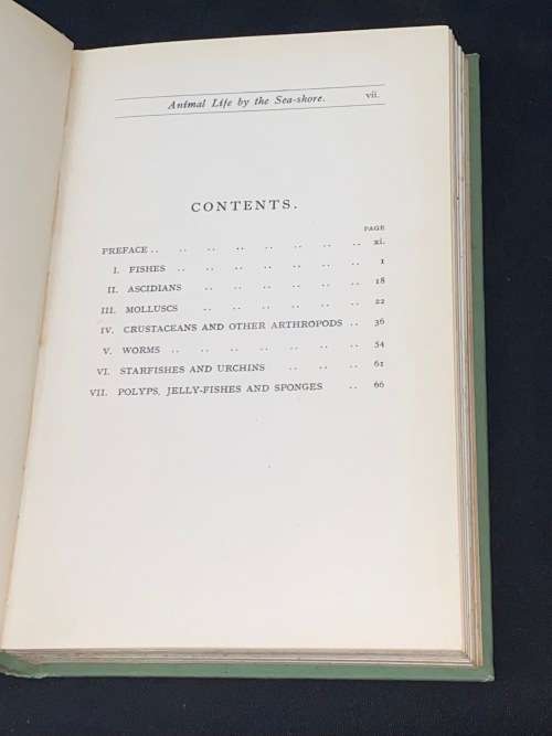 ANIMAL LFE BY THE SEA-SHORE BY G.A. AND C.L. BOULENGER