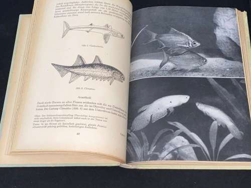 AQUARIEN UND TERRARIEN JAARBUCH 1955