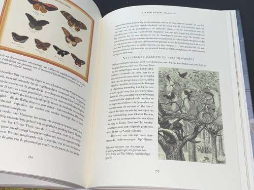 DE GROTE ONTDEKKINGS REIZIGERS - ROBIN HANBURY-TENISON