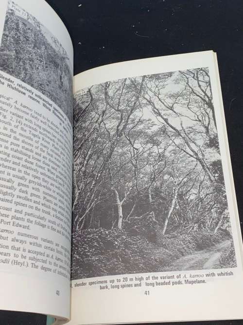 THE ACACIA SPECIES OF NATAL BY J.H. ROSS