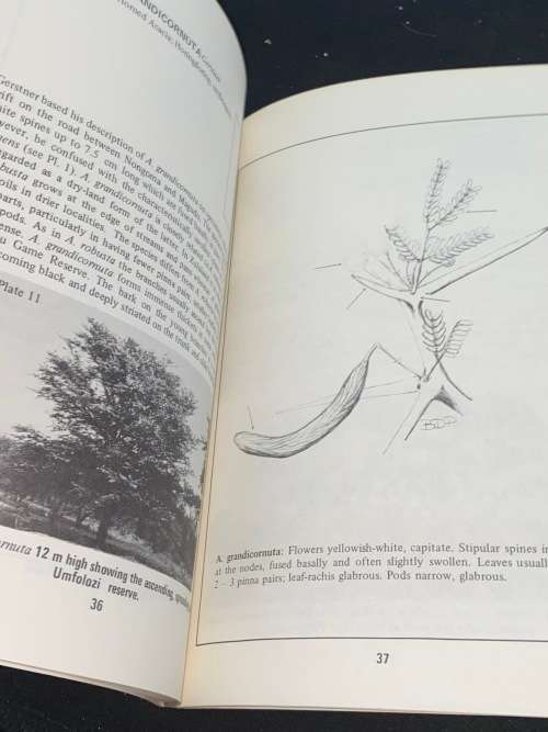 THE ACACIA SPECIES OF NATAL BY J.H. ROSS