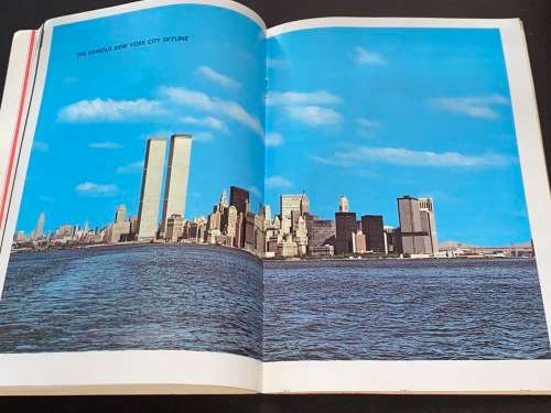 VINTAGE NESTER`S NEW YORK IN COLOUR PICTURES IN DESIGN MAPS