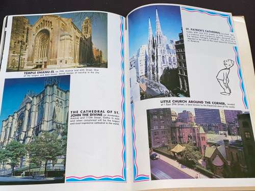 VINTAGE NESTER`S NEW YORK IN COLOUR PICTURES IN DESIGN MAPS