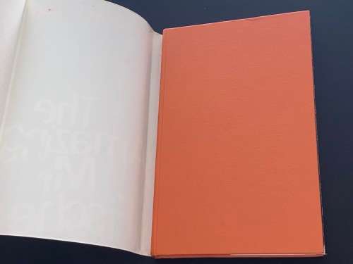 THE AMAZING MR FISCHER  BY GERARD LUDI + BLAAR GROBBELAAR