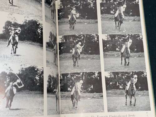 AN INTRODUCTION TO POLO BY MARCO