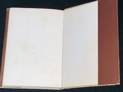 N` OOMBLIK IN DIE WIND DEUR ANDRE P. BRINK - SIGNED