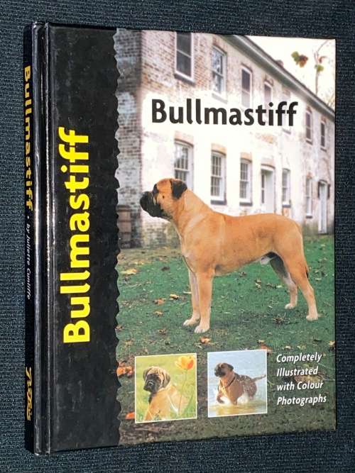 BULLMASTIFF BY JULIETTE CUNLIFFE