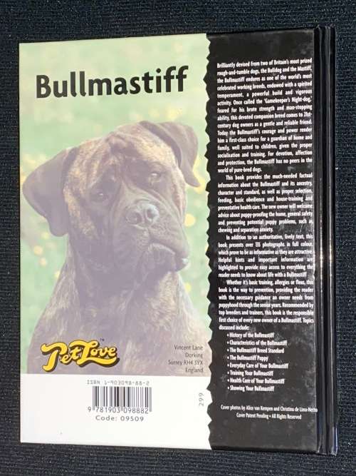 BULLMASTIFF BY JULIETTE CUNLIFFE