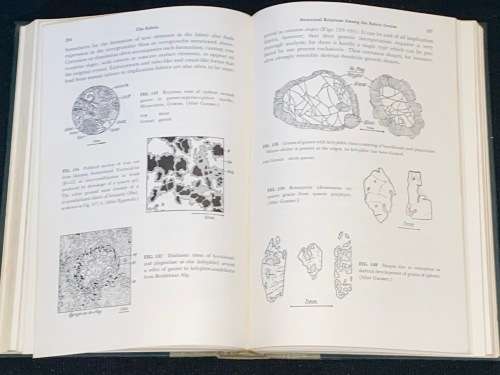ROCKS AND MINERAL DEPOSITS BY PAUL NIGGLI - 1954