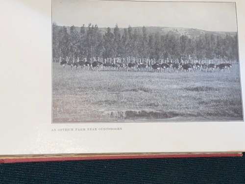 SOUTH AFRICA TO-DAY WITH AN ACCOUNT OF MODERN RHODESIA BY H. HAMILTON FYFE 1911