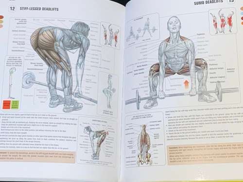 STRENGTH TRAINING ANATOMY BY FREDERIC DELAIER