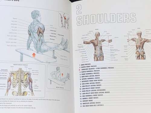 STRENGTH TRAINING ANATOMY BY FREDERIC DELAIER