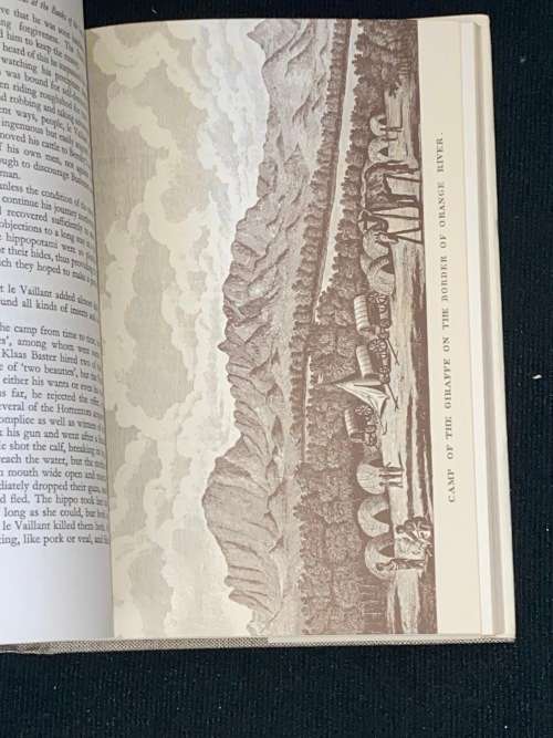 THE TRUTH IN MASQUERADE THE ADVENTURES OF FRANCOIS LE VAILLANT BY HANE MEIRING
