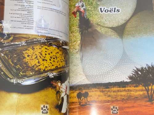 WILDSVLEISGEREGTE & KAMPVUURDISSE 2 DEUR LEONE & JACO SE LANGE