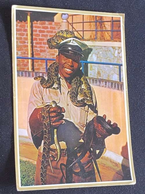 1964 SNAKE CATCHER POSTCARD TO SWEDEN