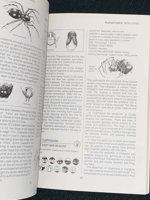 SOUTH AFRICAN SPIDERS AN IDENTIFICATION GUIDE BY MARTIN R. FILMER