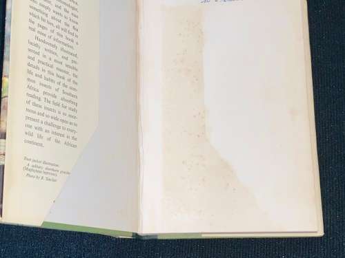 THE INSECTS OF SOUTHERN AFRICA BY MARGARET BEVIS