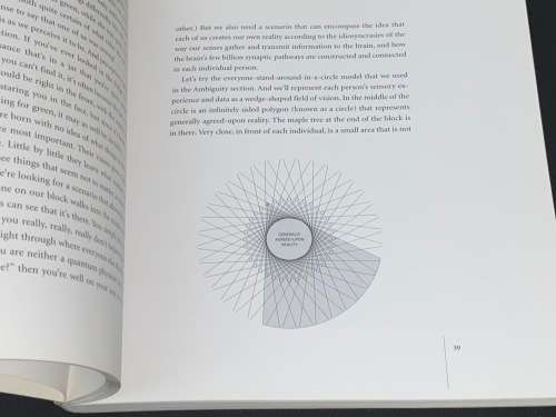 WORDPLAY - THE PHILOSOPHY, ART, AND SCIENCE OF AMBIGRAMS BY JOHN LANGDON