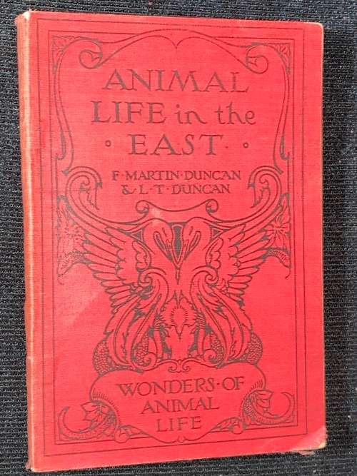 ANIMAL LIFE IN THE EAST CIRCA 1930`S